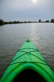 Kanoen in de Biesbosch van VVV Biesboschlinie