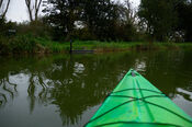 Kanoen in de Biesbosch van VVV Biesboschlinie