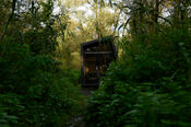 Hidden Hut van VVV Biesboschlinie