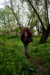 Wandelen in de Biesbosch van VVV Biesboschlinie