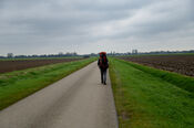Wandelen van VVV Biesboschlinie