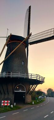 Molen De Hoop van VVV Biesboschlinie