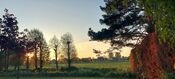 Natuur van VVV Biesboschlinie
