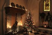 Kerst op Kasteel Dussen van VVV Biesboschlinie