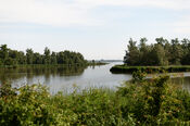 Biesbosch van VVV Biesboschlinie