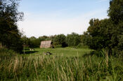 Trekkershut in de Biesbosch van VVV Biesboschlinie