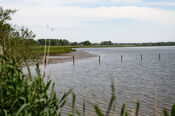 Biesbosch van VVV Biesboschlinie