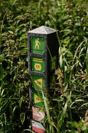 Wandelpaaltje in de Biesbosch van VVV Biesboschlinie