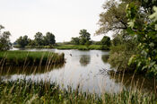 Biesbosch van VVV Biesboschlinie