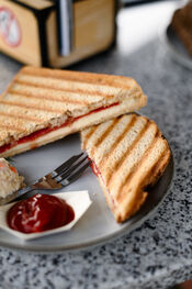 Tosti bij Jachthaven van Oversteeg van VVV Biesboschlinie