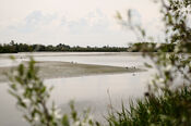Biesbosch van VVV Biesboschlinie