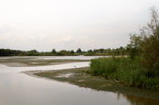 Biesbosch van VVV Biesboschlinie