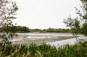 Biesbosch van VVV Biesboschlinie