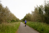 Biesbosch van VVV Biesboschlinie