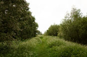 Biesbosch van VVV Biesboschlinie
