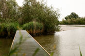 Biesbosch van VVV Biesboschlinie