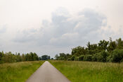 Biesbosch van VVV Biesboschlinie