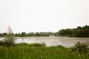 Biesbosch van VVV Biesboschlinie