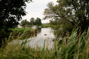 Biesbosch van VVV Biesboschlinie