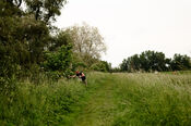 Biesbosch van VVV Biesboschlinie