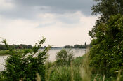Biesbosch van VVV Biesboschlinie
