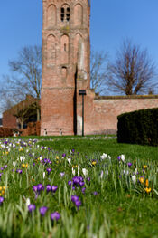 Romboutstoren van VVV Biesboschlinie