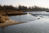 Biesbosch van VVV Biesboschlinie