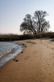 Strand Sleeuwijk van VVV Biesboschlinie