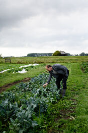 Oogsttuin 's Heeren Loo Kraaiveld van VVV Biesboschlinie