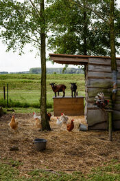 Oogsttuin 's Heeren Loo Kraaiveld van VVV Biesboschlinie