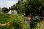 Oogsttuin Hof van Heden van VVV Biesboschlinie