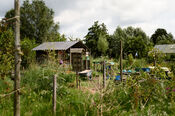 Oogsttuin Hof van Heden van VVV Biesboschlinie