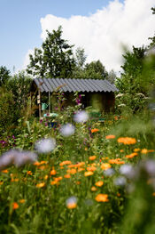 Oogsttuin Hof van Heden van VVV Biesboschlinie