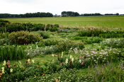 Pluktuin Waardhuizen van VVV Biesboschlinie