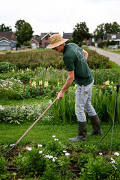 Pluktuin Waardhuizen van VVV Biesboschlinie