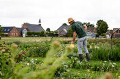 Pluktuin Waardhuizen van VVV Biesboschlinie