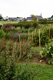 Pluktuin Waardhuizen van VVV Biesboschlinie