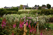 Pluktuin Waardhuizen van VVV Biesboschlinie