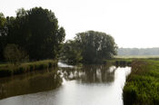 Natuur bij Woudrichem van VVV Biesboschlinie