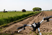 Fietsen door de polders van VVV Biesboschlinie