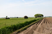 Polder van VVV Biesboschlinie