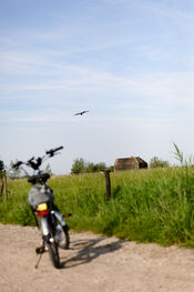 Fietsen door de polder van VVV Biesboschlinie