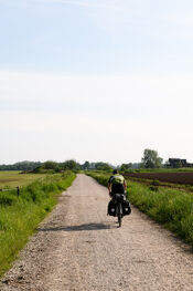 Fietsen door de polder van VVV Biesboschlinie