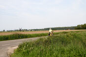 Fietsen door de polder van VVV Biesboschlinie