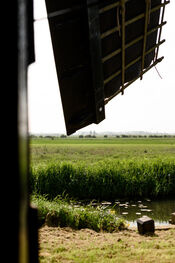 Zandwijkse molen van VVV Biesboschlinie