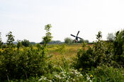 Zandwijkse molen van VVV Biesboschlinie