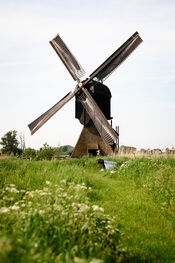 Zandwijkse molen van VVV Biesboschlinie