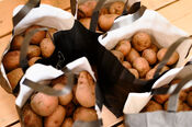 Aardappelen bij Wim&Co van VVV Biesboschlinie