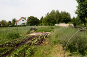 Oogsttuin Hof van Heden van VVV Biesboschlinie