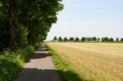 Polder van VVV Biesboschlinie